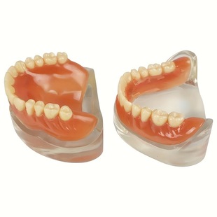 2025 New Cross-Border Dropshipping 4-Piece Set of Adjustable Dentures, Easy to Use and Easy to Clean.