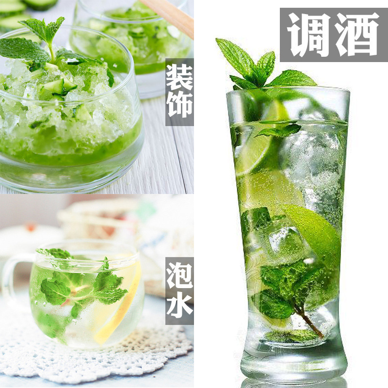 薄荷叶新鲜食用泡水装饰烘焙调酒商用专用500g包邮鲜留兰香薄荷叶|undefined