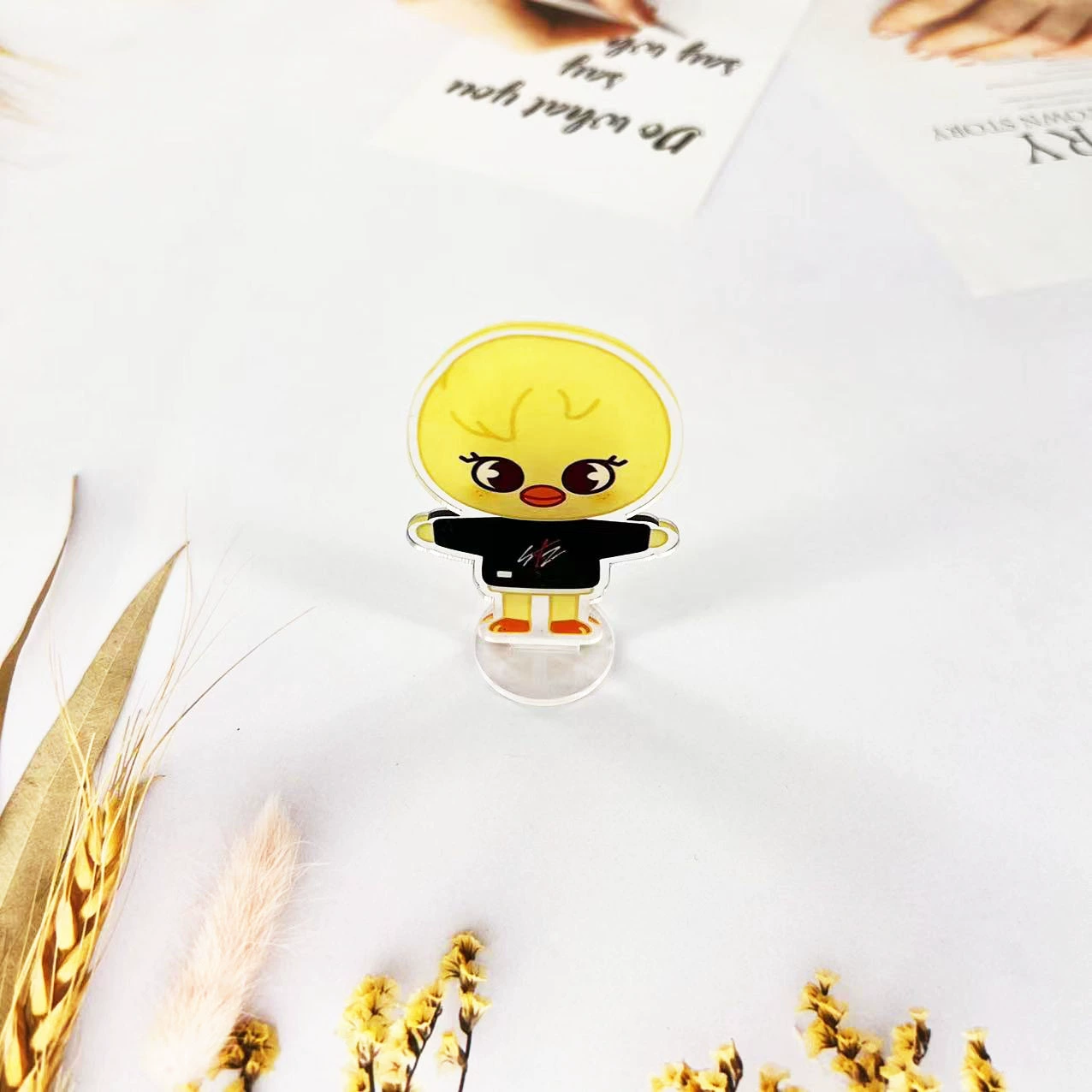 Straykids карикатура SKZOO концерт с той же карикатурной акриловой двусторонней картой