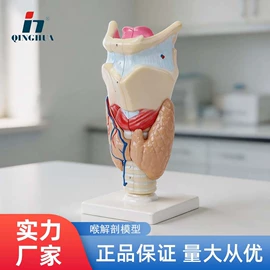 数理教学器材;教学演示用品;生物教学器材