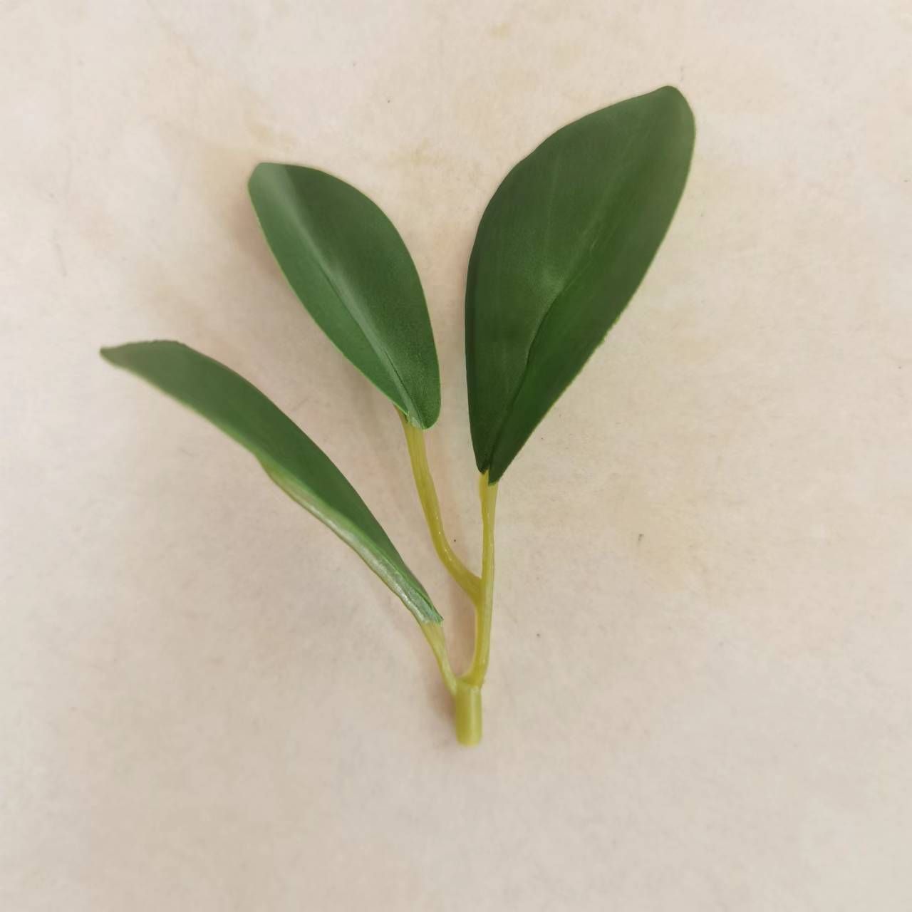 仿真植物三叉小豆瓣叶 过胶小圆叶 仿真胶片叶子礼盒装饰配件批发