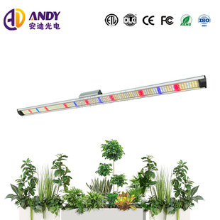 Plant Fill Light 50W 100W Full Spectrum Sunlight Greenhouse Flower Hot Plant Led Special Plant Growth Light