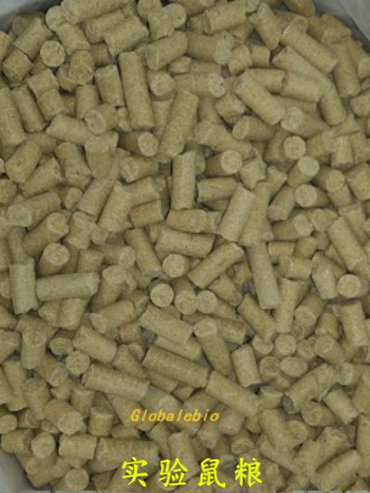 Эксперимент по очистке класса крыс большая белая крыса корм для больших мышей