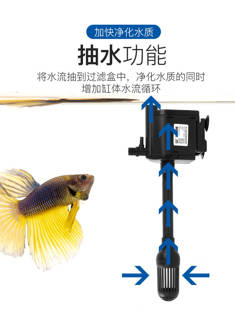 5952c68c-717f-41a2-b2c2-e03a2ea733b1.jpe