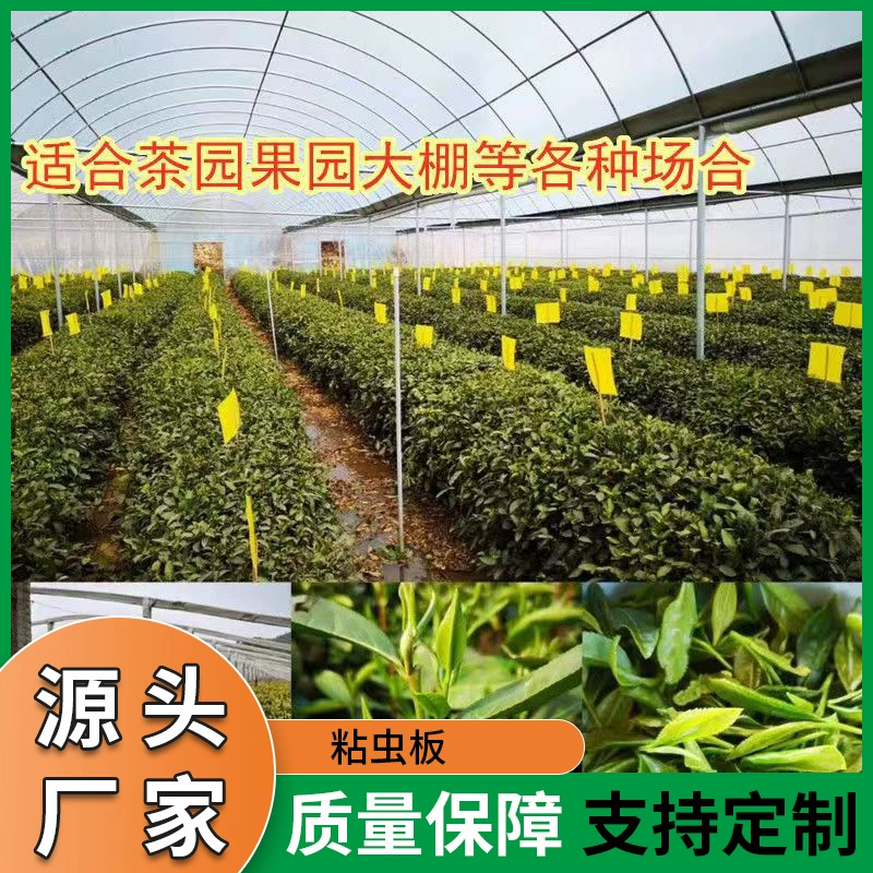 Липкая доска-ловушка для насекомых, двусторонняя ловушка для насекомых, желтая доска, синяя доска, производитель, оптовая продажа, желтая доска-ловушка для насекомых, сельскохозяйственная ловушка для насекомых, садовая наклейка-ловушка для насекомых
