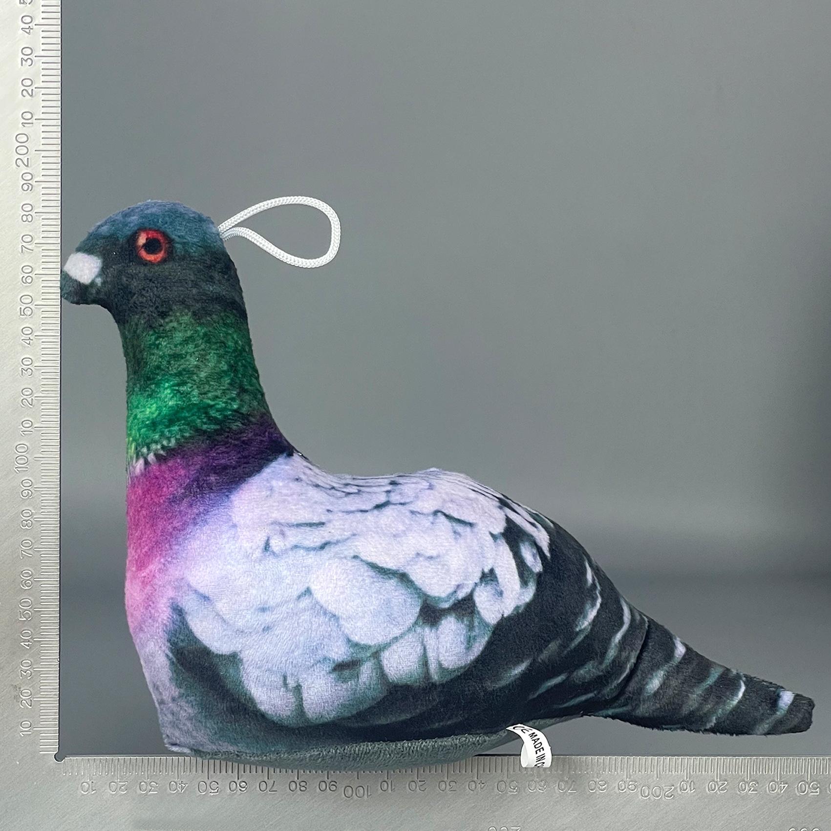 尺寸 鸽子.jpg