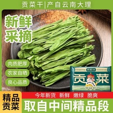 火锅贡菜干苔干脱水蔬菜50g袋烧烤麻辣烫食材凉菜脱水菜泡发快