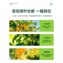 桂花树肥料专用肥植物营养液通用型促花花卉浓缩四季桂金桂银桂树