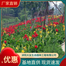 ���l���˽��N�� �����˽��N���޸� ���˽��箔���_�� ����ˮ�w