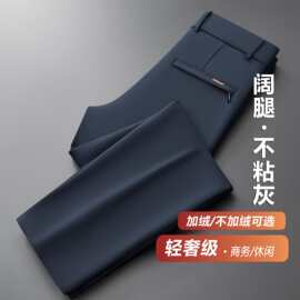 阔腿休闲裤男秋季厚款高端运动男士裤子宽松直筒不粘灰男装加绒裤