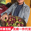 [SF Express]source supply fresh Mangosteen Season fruit One piece On behalf of