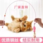 羽毛宠物猫小鱼逗猫棒