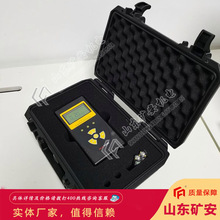 辐射检测仪小型高灵敏度 抗电磁干扰能力强辐射检测仪