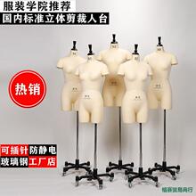 ����������̨���̌W���b�WԺ�������w������̨���b�OӋģ��