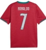 Portuguese No. 7