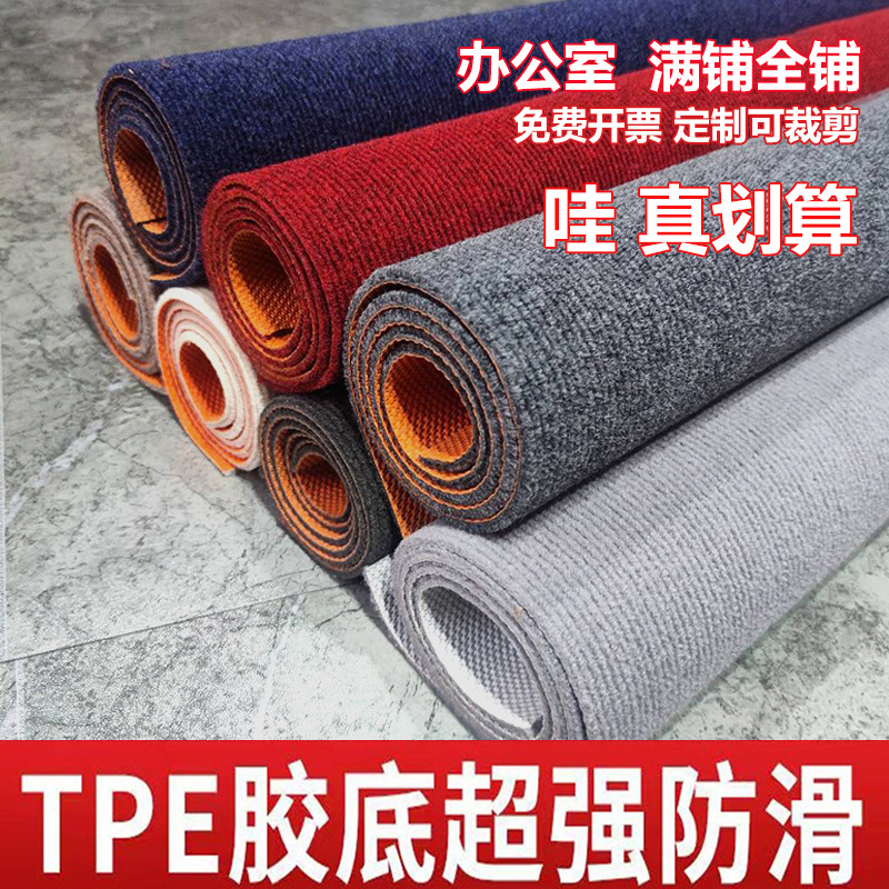 地垫入户门垫进门垫子2025新款客厅大面积全铺健身宠物垫防滑家用