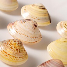 天然蛤蜊油贝壳油老式润面油棒棒油护手霜精品老国货嘎啦油上