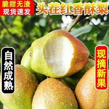 YF10��ѩ�����污��������Ƥ���rˮ�������������ӬF�l��ʮ��Fժ