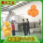 商用成套蒸汽罐头去皮机