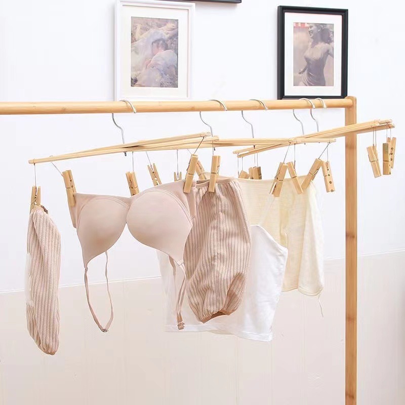 微信图片_20230819135131_1