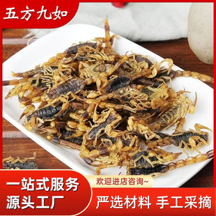 ϐ��ȫ�xȫϐʮ�ɸ�ϐ�Ӵ�ĥ��100�˰��]���lϐ�Ӹ���ϐ��ș��