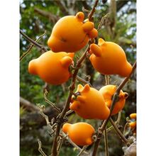 �S���f�������ļ��׷Nֲ�^�p�̨ͥԺ������ָ�ѷN�Ӵ���ֲ���ȫ