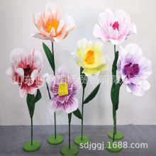 mײm׷滨ױmColorful Orchids