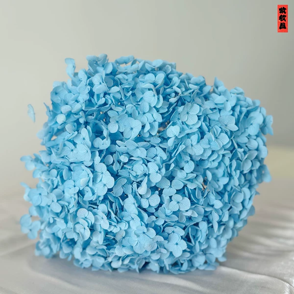 Nile River Blue/Branch