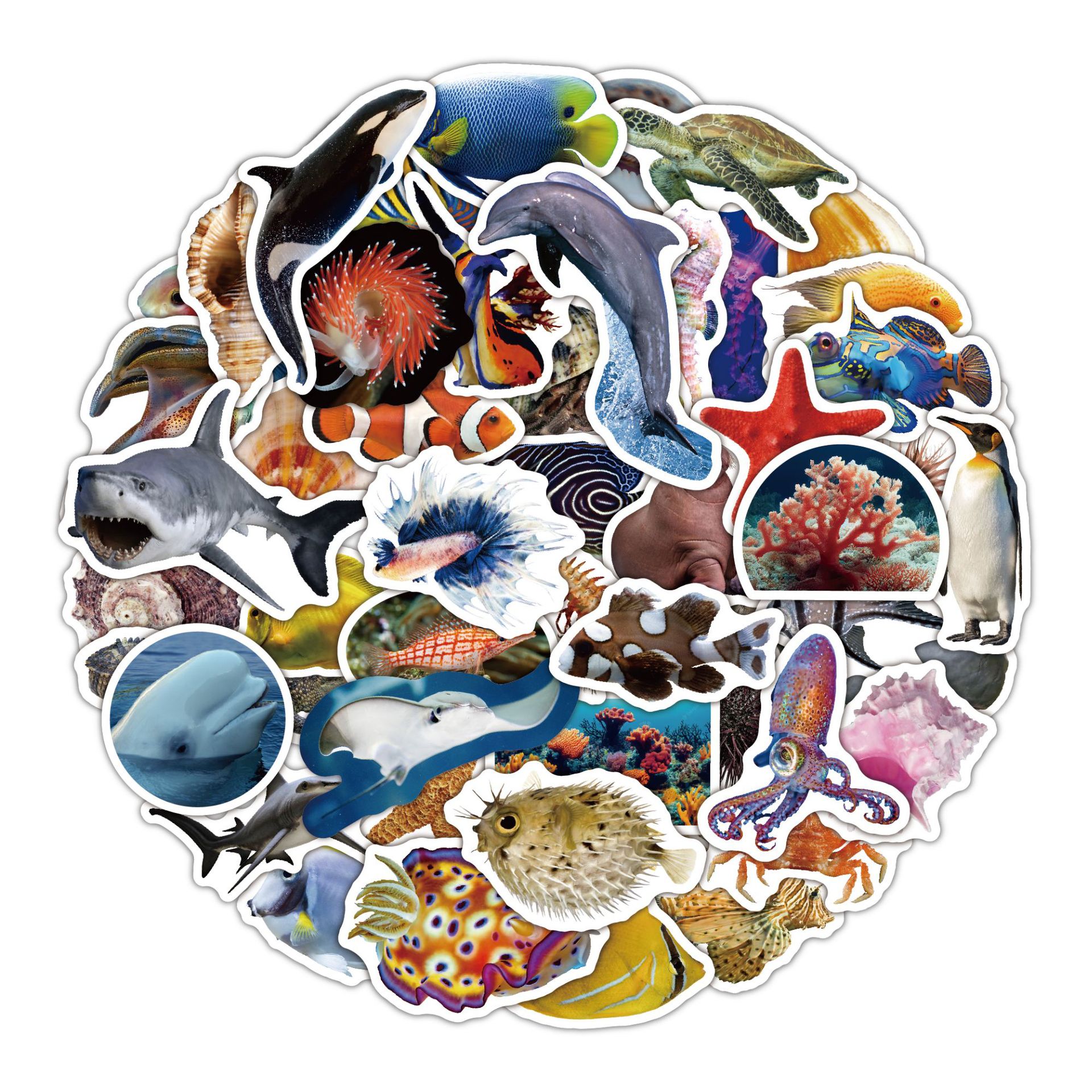 B049海洋生物2