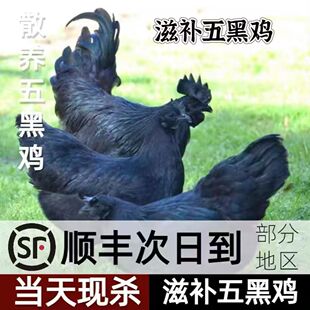 ���N����u������w���һ�G����Ó����С�u������u������