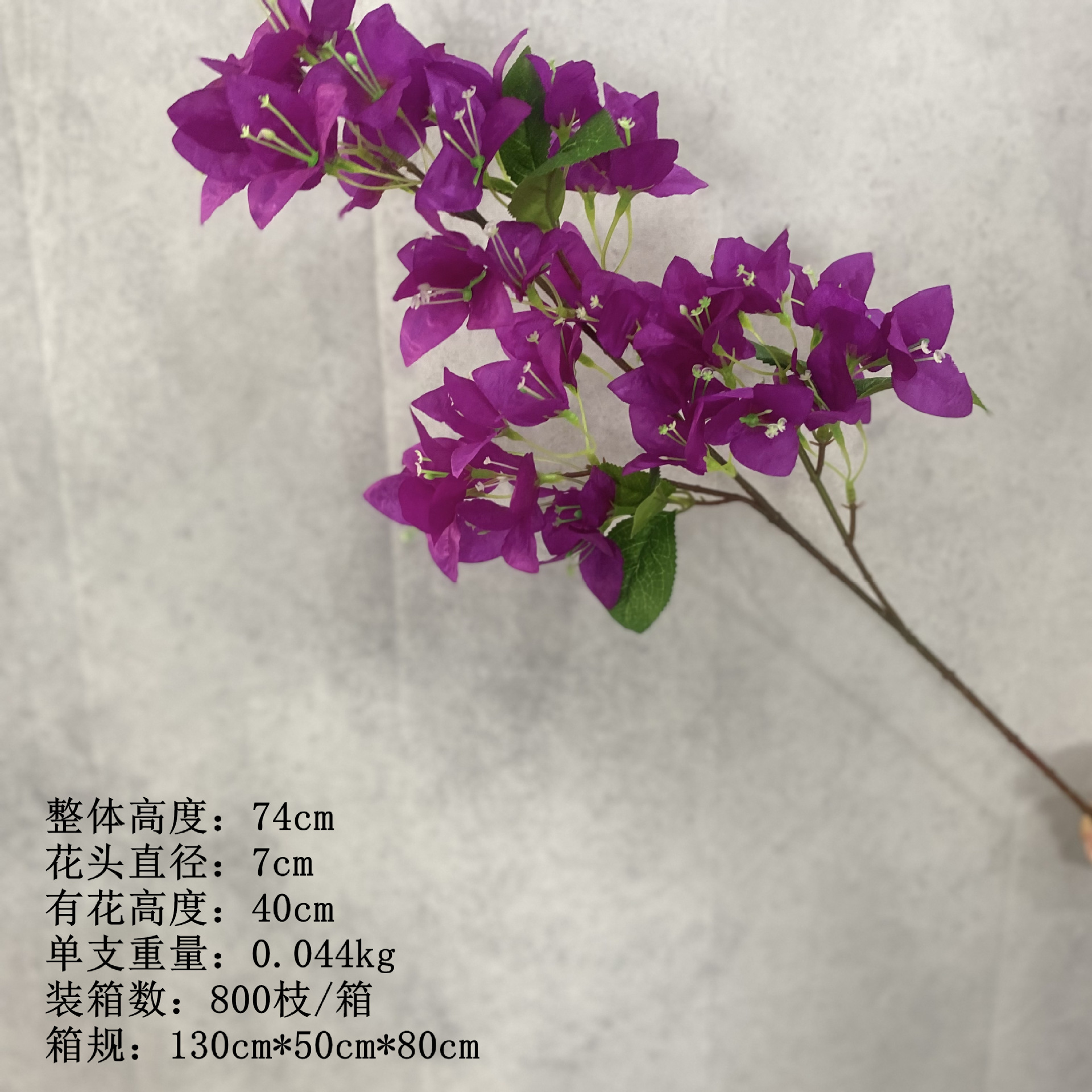 스몰 사이즈 퍼플