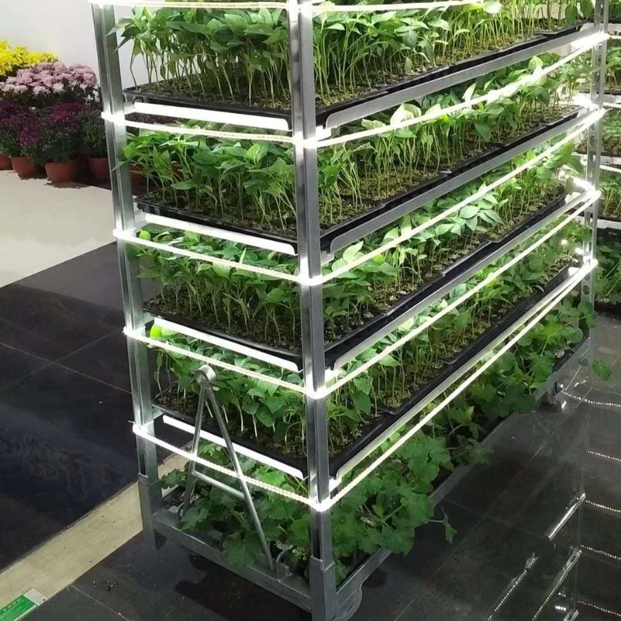 厂家推荐热镀补光育苗花车，花卉农业周转台车， 多层运输花车