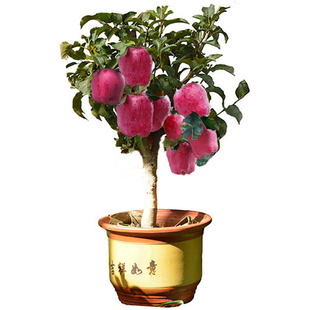 ������ţ�O�������Ԏ����޽��ϱ����Nֲ�߹��辰�䘶�箔��Y����