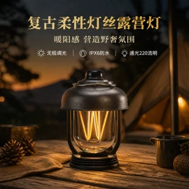 其他卫浴洁具;野营/露营灯;气体检测仪