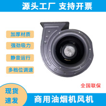 ���ó��͟��C�L�C���~��늙C��������t�������L�C�S��ֱ�N�o��