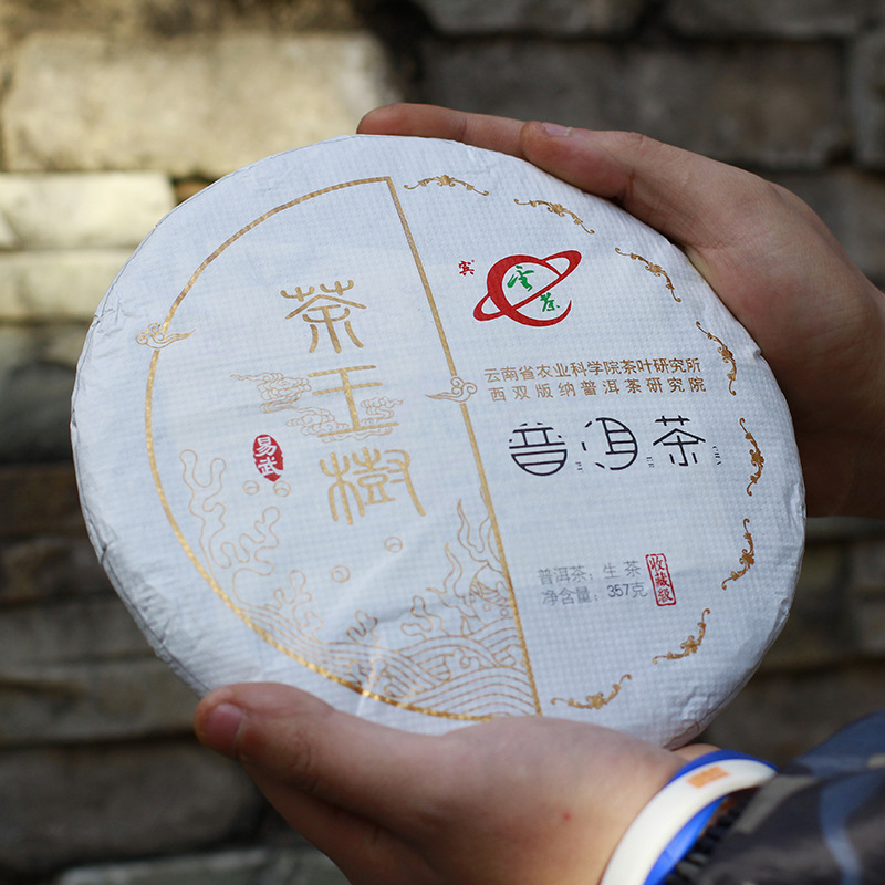 Yunnan Institute of Tea Science Institute Yiwu Fengfeng village tea King Tree Pu'er tea raw tea 357G Seven-seed cake tree