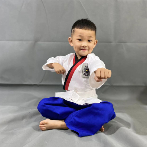 New Style Taekwondo Gi for Adults and Children, Unisex Taekwondo Performance Uniform, Training Uniform, Instructor Uniform Manufacturer