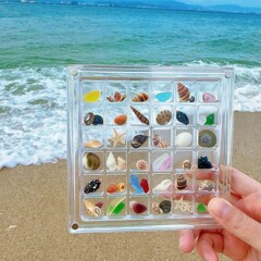 TEMUSHEIN アクリル磁気 36 グリッドシェル宝石ディスプレイ収納ボックス高透明ジュエリー装飾ボックスホルダー