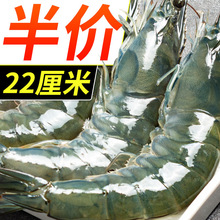 ���r���l������؛���u�ش��r���r������r���������r���rˮ�a�ͶY