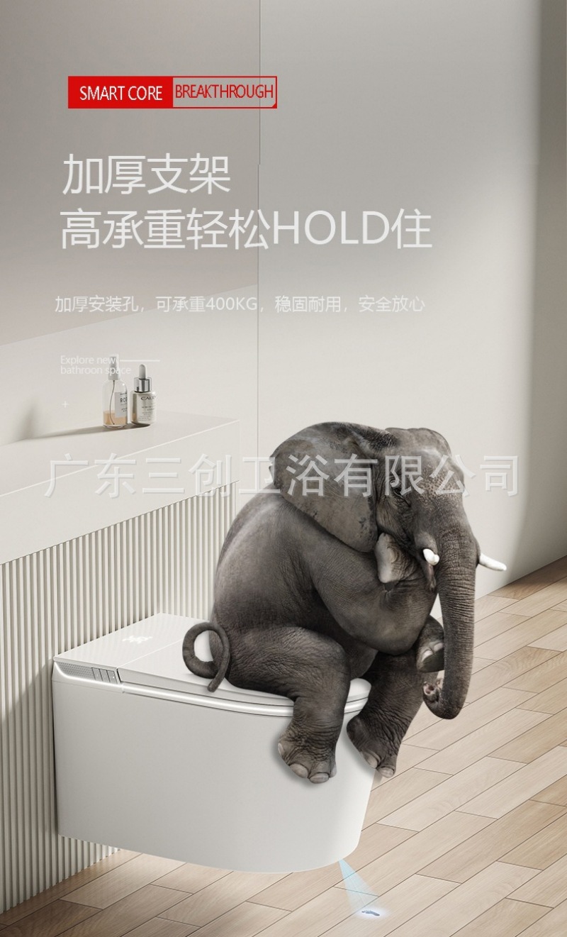 挂壁智能马桶-详情页 (25).jpg