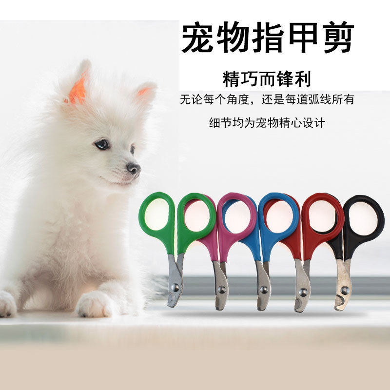 Factory direct pet nail clippers puppy nail clippers cat pliers Teddy small dog thumb scissors
