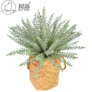 ��؈����̰ؼ٘��~������ާ�ֲ��С�������ϲ��b��҃��Ĕz����