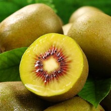 ĴtīJ殐YЋDˮ]aֱlaĴa