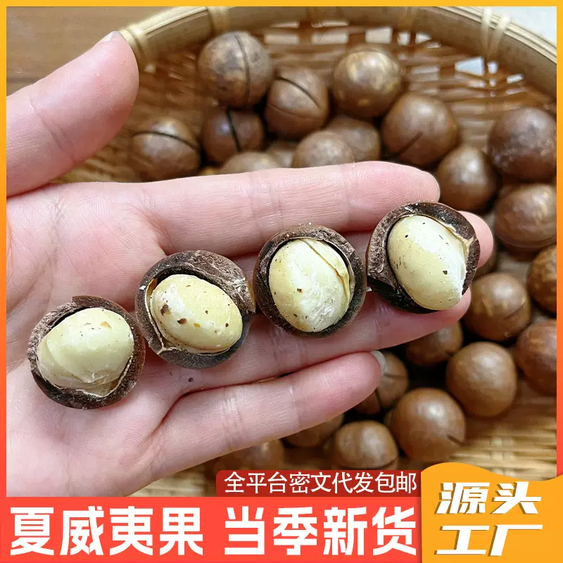 批发新货夏威夷果大颗粒原味奶香味干果散装袋装休闲零食坚果炒货