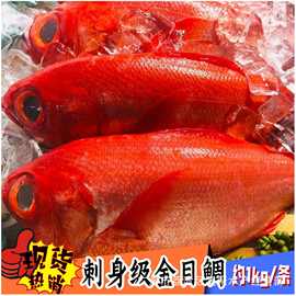 海鲜 冰鲜 金目鲷 喜之次 寿司 日料 刺身即食 约1kg/条 称重销售