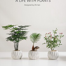 ��������ֲ���҃��k��������Gֲ���ܺ��B�����՚��ļ�����С�辰