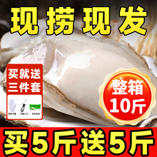 ��ɽ�ش�����r���ɽ�|���r���ͺ��rˮ�a��Ϡ��ؐ��ĵϠ����XL