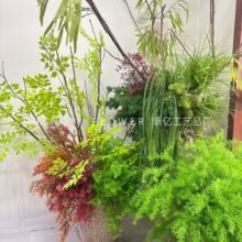 �¿��cɭϵ�b���Gֲ�������ű���ӆ�鲼��������Y�쾰�J��