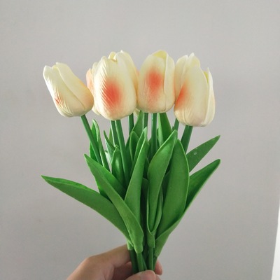 샴페인