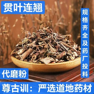 ؞�~�B�N ��ș�� �}�s���ݷ� St John's wort powder ؞�~��z��